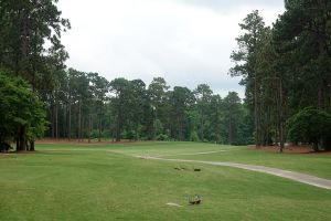 Pinehurst No7 8th